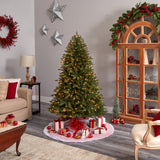 6' Norwegian Mountain Fir Christmas Tree with 1448 Bendable Branches and 400 Clear LED Lights