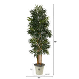 6’ Phoenix Artificial Palm tree in Decorative Planter
