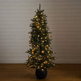 6' Pre-Lit Artificial Pine Christmas Tree in Round Black Decorative Planter with 60 Warm White LED Lights