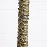 6' Sago Palm Silk Tree