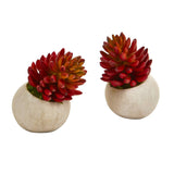 6” Succulent Artificial Plant in Stone Planter (Set of 2)