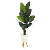6’ Traveler's Palm Artificial Tree in White Planter with Stand