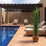 6’ UV Resistant Artificial Grass Plant (Indoor/Outdoor)