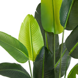 6’ UV Resistant Artificial Traveler's Palm Tree (Indoor/Outdoor)