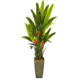 62” Bird of Paradise Artificial Plant in Olive Green Planter