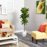 62” Dracaena Artificial Plant in White Planter (Real Touch)