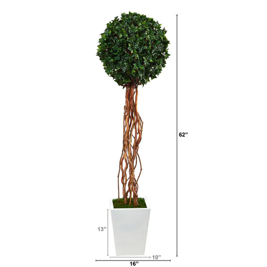 62” English Ivy Single Ball Artificial Topiary Tree in White Metal Planter (Indoor/Outdoor)