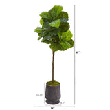 62” Fiddle Leaf Artificial Tree in Ribbed Metal Planter (Real Touch)