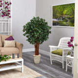 62” Lychee Artificial Tree in Country White Planter