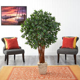 62” Lychee Artificial Tree in Country White Planter