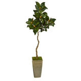 63” Magnolia Artificial Tree in Green Planter