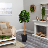 64” Fiddle Leaf Artificial Tree in Black Planter (Real Touch)