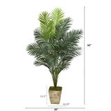 64” Paradise Palm Artificial Plant in Country White Planter