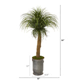 64” Pony Tail Palm Artificial Plant in Copper Trimmed Metal Planter