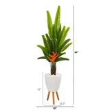64” Traveler's Palm Artificial Tree in White Planter with Stand
