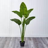 64” Traveler's Palm Tree UV Resistant (Indoor/Outdoor)