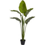 64” Traveler's Palm Tree UV Resistant (Indoor/Outdoor)