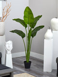 64” Traveler's Palm Tree UV Resistant (Indoor/Outdoor)