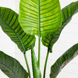 64” Traveler's Palm Tree UV Resistant (Indoor/Outdoor)
