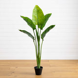 64” Traveler's Palm Tree UV Resistant (Indoor/Outdoor)