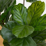 65” Fiddle Leaf Tree UV Resistant (Indoor/Outdoor)