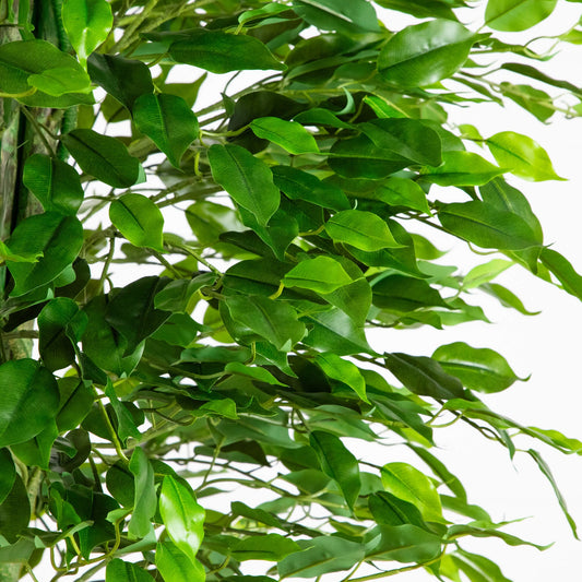 6.5' UV Resistant Artificial Ficus Tree (Indoor/Outdoor)