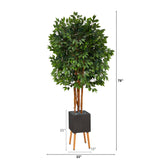 6.5’ Super Deluxe Ficus Artificial Tree in Black Planter with Stand