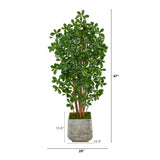 67” Black Olive Artificial Tree with 1365 Bendable Leaves in White Planter