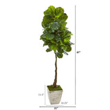 67” Fiddle Leaf Artificial Tree in Country White Planter (Real Touch)