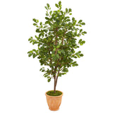 67” Oak Artificial Tree in Terra Cotta Planter
