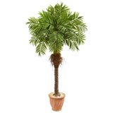 68” Robellini Palm Artificial Tree in Terra Cotta Planter