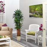 69” Dracaena Artificial Tree in Country White Planter