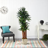 69” Dracaena Artificial Tree in Country White Planter