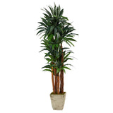 69” Dracaena Artificial Tree in Country White Planter