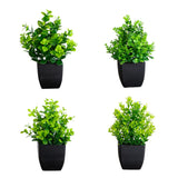 7” Artificial Assorted Green Plant in Black Square Pot - Set of 4