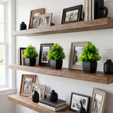 7” Artificial Cedar in Black Square Pot - Set of 3