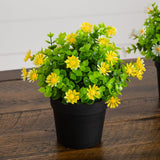 7" Artificial Daisy Plant in Black Pot - Set of 3