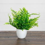 7” Artificial Fern in White Round Pot - Set of 3