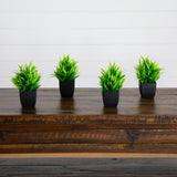7” Artificial Grass Plant in Black Square Pot - Set of 4