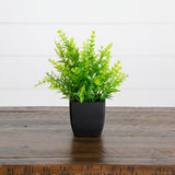7” Artificial Mixed Topiary Plant in Black Square Pot - Set of 4