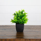 7” Artificial Mixed Topiary Plant in Black Square Pot - Set of 4