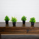 7” Artificial Mixed Topiary Plant in Black Square Pot - Set of 4
