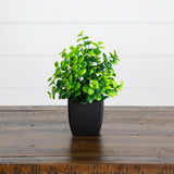 7” Artificial Mixed Topiary Plant in Black Square Pot - Set of 4