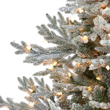 7’ Flocked Fraser Fir Artificial Christmas Tree with 600 Warm White Lights and 3852 Bendable Branches