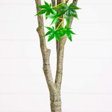 7-ft Artificial Maple Tree