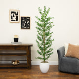 7' Artificial Shady Lady Black Olive Tree