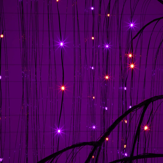 7' Pre-Lit Artificial Halloween Black Willow Tree with 600 Purple and Orange Dual Color LED Lights