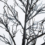 7' Pre-Lit Halloween Deluxe Black Twig Artificial Tree with 180 Orange & Purple LED Lights