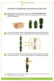 7' Mini Cedar Pine Tree (Indoor/Outdoor)