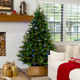 7' Pre-Lit Artificial Luxembourg Pine Christmas Tree with 340 Multicolored Traditional Bulb LED Lights